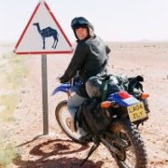 Morocco camel sign